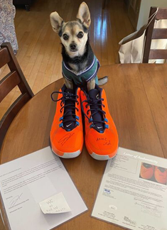 Metabilia social post 7